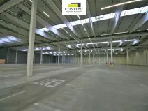 Pronájem skladu, Olomouc - Slavonín, Na Statkách, 11658 m2