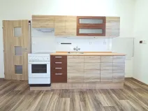 Pronájem bytu 1+1, České Budějovice - České Budějovice 3, Pekárenská, 51 m2