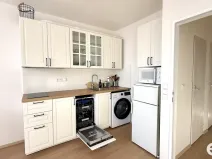 Pronájem bytu 1+kk, Praha, Vavřenova, 24 m2