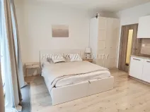 Pronájem bytu 1+kk, České Budějovice - České Budějovice 2, Volejbalistů, 28 m2
