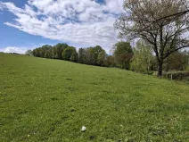 Prodej louky, Cheb, 16692 m2