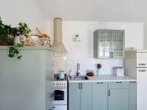 Prodej bytu 1+1, Praha - Vinohrady, Šumavská, 60 m2