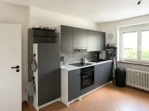 Prodej bytu 3+1, Opava - Předměstí, Tomáškova, 81 m2