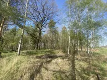 Dražba louky, Hranice, 1061 m2