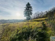 Prodej pozemku pro bydlení, Krnov, 1306 m2