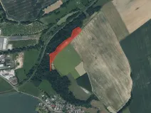 Prodej louky, Zahořany, 9077 m2