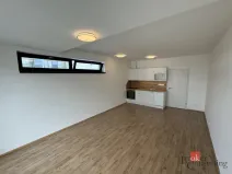 Prodej bytu 1+kk, Plzeň - Jižní Předměstí, Železná, 41 m2