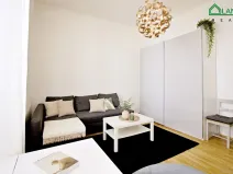 Pronájem bytu 1+kk, Brno, Koliště, 25 m2