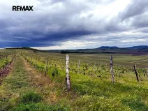 Prodej sadu/vinice, Novosedly, 5537 m2