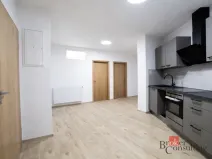 Pronájem bytu 2+1, Plzeň - Jižní Předměstí, Palackého, 52 m2