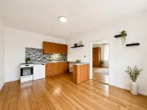 Prodej bytu 2+kk, Ústí nad Labem - Klíše, Klíšská, 54 m2