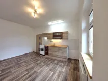 Pronájem bytu 1+1, České Budějovice - České Budějovice 3, Pekárenská, 51 m2