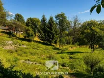 Prodej louky, Malá Skála, 1009 m2