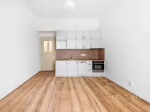 Pronájem bytu 1+kk, Praha - Nusle, Sezimova, 27 m2