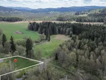 Prodej pozemku pro bydlení, Strážný, 2500 m2