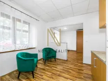 Pronájem bytu 1+1, Radnice, Na Potocích, 32 m2
