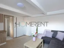 Pronájem bytu 1+kk, Mladá Boleslav - Mladá Boleslav IV, Luční, 21 m2