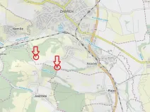 Prodej lesa, Zábřeh, 1123 m2