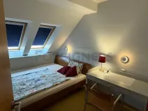 Pronájem pokoje, Brno, Gorkého, 12 m2