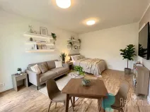 Pronájem bytu 1+kk, Praha, Sládkovičova, 26 m2