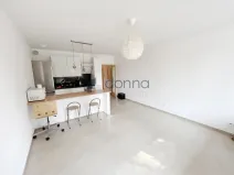 Pronájem bytu 1+kk, Praha, U Hostavického potoka, 36 m2