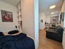 Pronájem bytu 1+kk, Brno, Přírodní, 35 m2