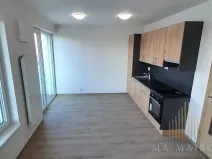 Pronájem bytu 1+kk, Praha - Holešovice, Na Maninách, 33 m2
