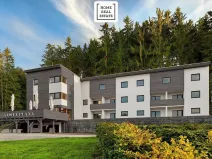 Prodej bytu 1+kk, Černá v Pošumaví, 29 m2