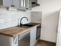 Pronájem bytu 2+1, Praha - Hodkovičky, Údolní, 60 m2