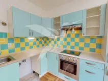 Pronájem bytu 1+1, Horní Bříza, Na Kaolince, 38 m2
