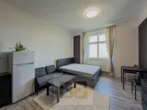 Pronájem bytu 1+kk, Praha - Vinohrady, náměstí Jiřího z Lobkovic, 25 m2