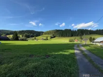 Prodej pozemku pro bydlení, Velké Karlovice, 17407 m2