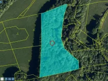 Prodej lesa, Životice u Nového Jičína, 12739 m2