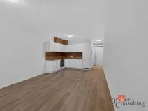 Pronájem bytu 2+kk, Plzeň - Východní Předměstí, 55 m2