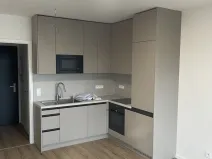 Pronájem bytu 1+kk, Kladno - Dubí, Ke křížku, 30 m2