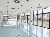 Pronájem obchodního prostoru, Praha, Siemensova, 262 m2