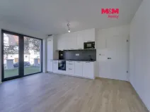 Pronájem bytu 1+kk, Plzeň - Skvrňany, Na Průhonu, 40 m2