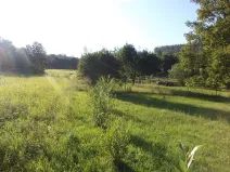 Dražba zahrady, Město Albrechtice, 694 m2