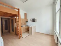 Pronájem bytu 1+kk, České Budějovice, Riegrova, 25 m2