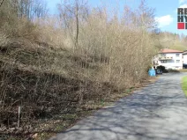 Prodej pozemku pro bydlení, Železný Brod, Chvalíkovická, 786 m2