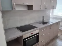 Pronájem bytu 2+1, Bílina - Teplické Předměstí, Sídliště Za Chlumem, 50 m2