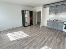 Pronájem bytu 2+kk, Ústí nad Labem - Krásné Březno, Keplerova, 48 m2