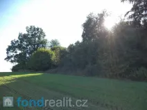 Prodej pole, Kolinec, 2385 m2