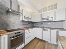 Prodej bytu 2+kk, Plzeň - Jižní Předměstí, U Radbuzy, 57 m2