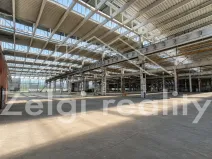 Pronájem výrobních prostor, Veselí nad Moravou, 2000 m2