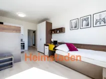 Pronájem bytu 1+kk, Plzeň - Jižní Předměstí, Magisterská, 27 m2