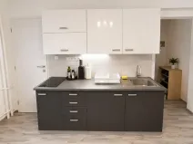 Pronájem bytu 2+1, Ústí nad Labem - Střekov, Pionýrů, 49 m2