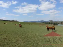 Prodej pozemku pro bydlení, Janovice nad Úhlavou, 7774 m2