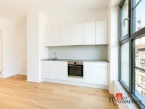 Pronájem bytu 1+kk, Brno - Zábrdovice, Bratislavská, 24 m2