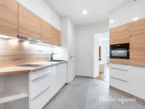 Pronájem bytu 1+kk, Praha - Podolí, Na dolinách, 39 m2
